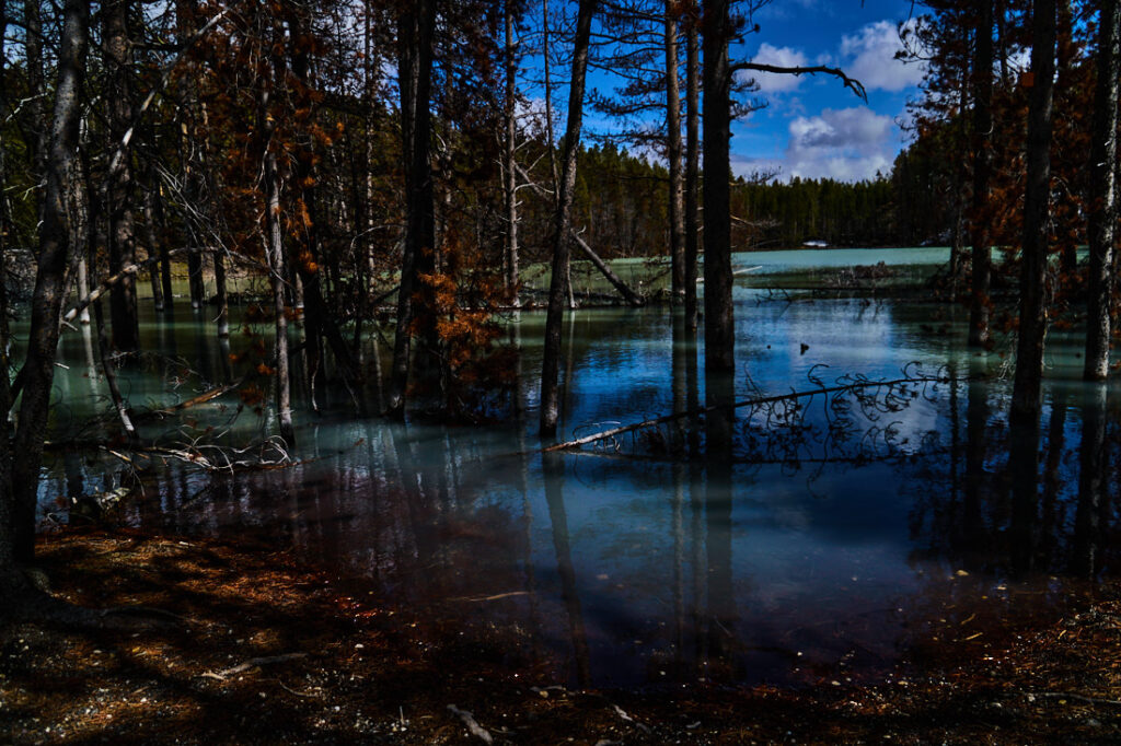 pics 89a, yell jpeg 82721100 adobe srgb ma c dsc07649