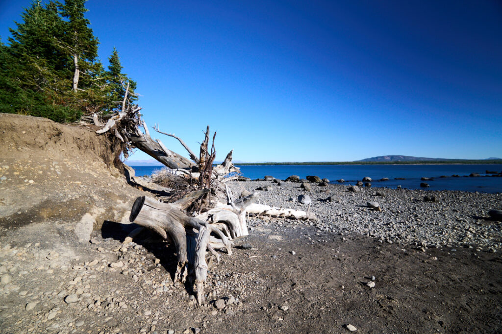 website pics 48, yell jpeg 82721100 adobe srgb aa dsc07133