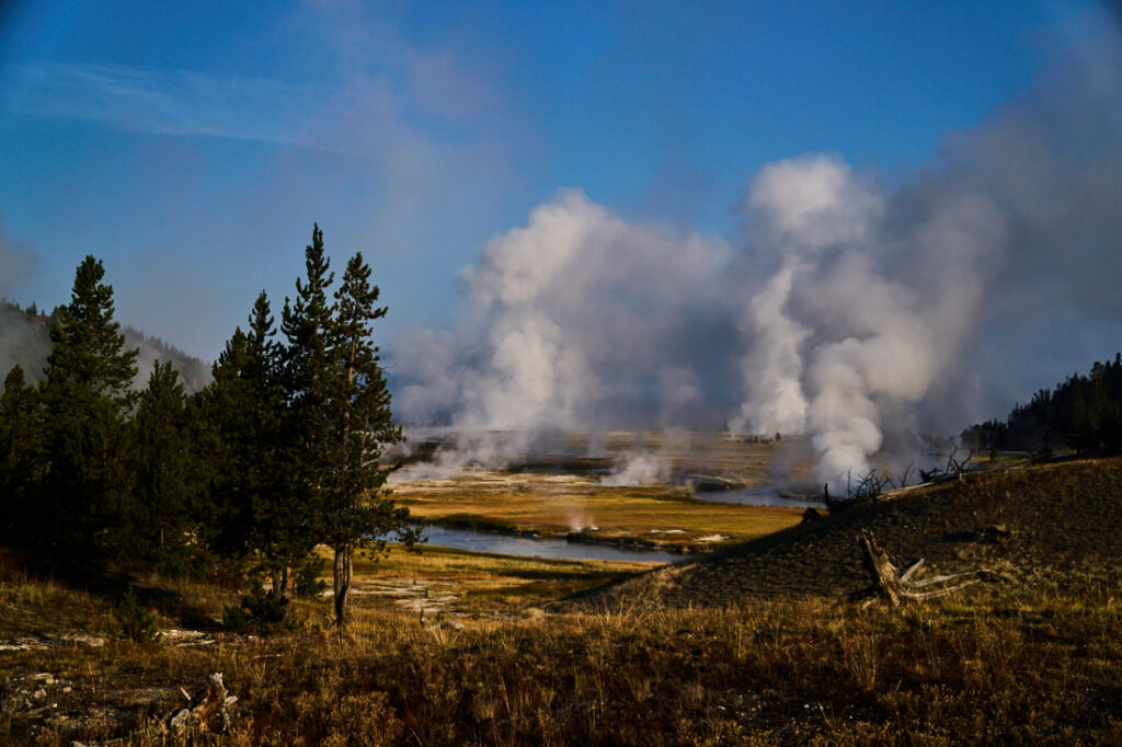 website pics labor day f3, (crop) yell jpeg 82721100 adobe srgb ma dsc2115