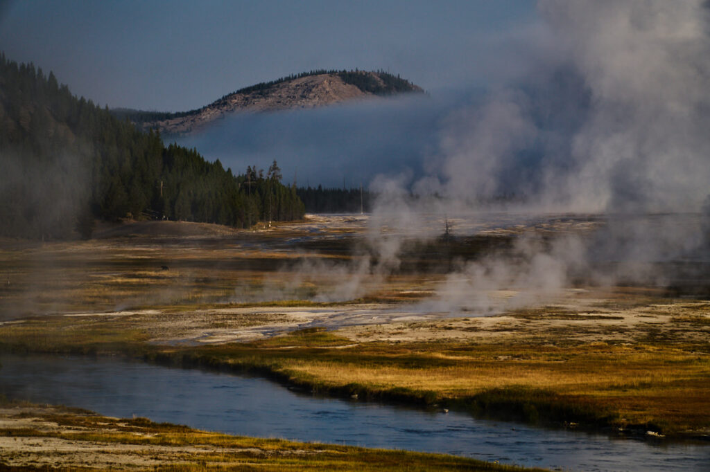website pics labor day f3, (crop) yell jpeg 82721100 adobe srgb ma dsc2123
