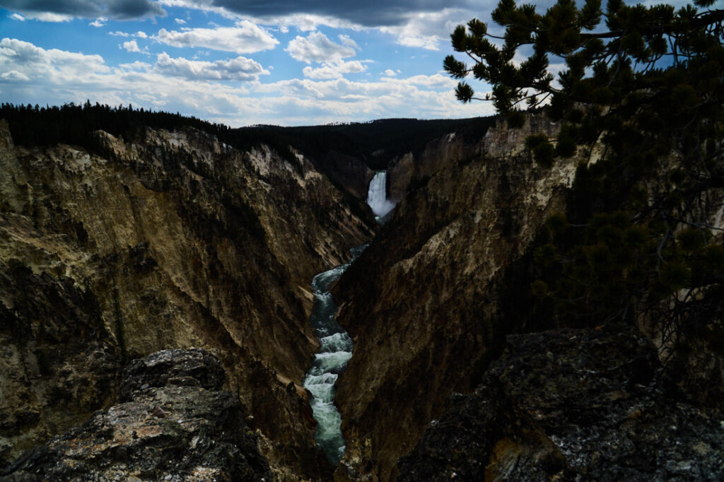 View of Lower Falls of the Yellowstone River and Grand Canyon of the Yellowstone from Artist Point