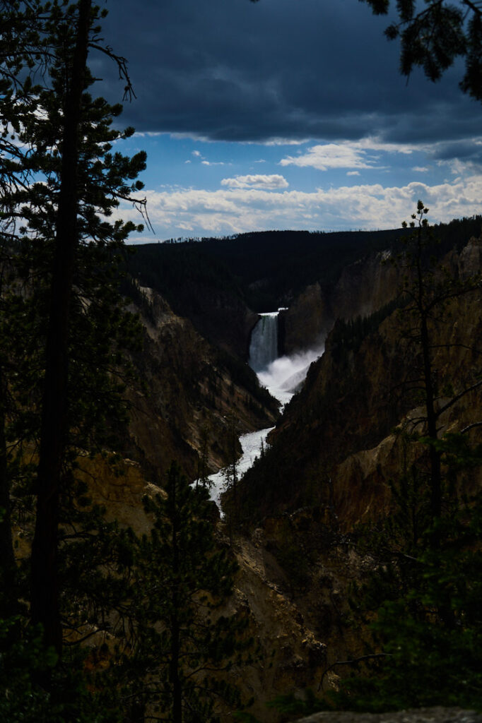 Lower Falls of the Yellowstone River in Yellowstone National Park