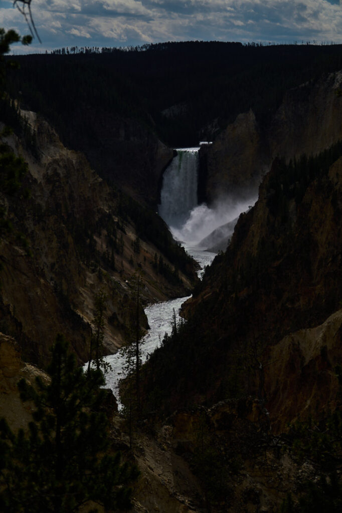 62/8267 - Lower Falls of the Yellowstone River in Yellowstone National Park