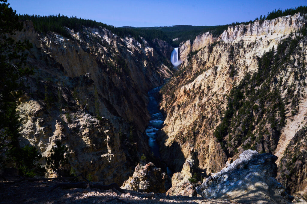 Lower Falls of the Yellowstone River in Yellowstone National Park, view from Artist Point