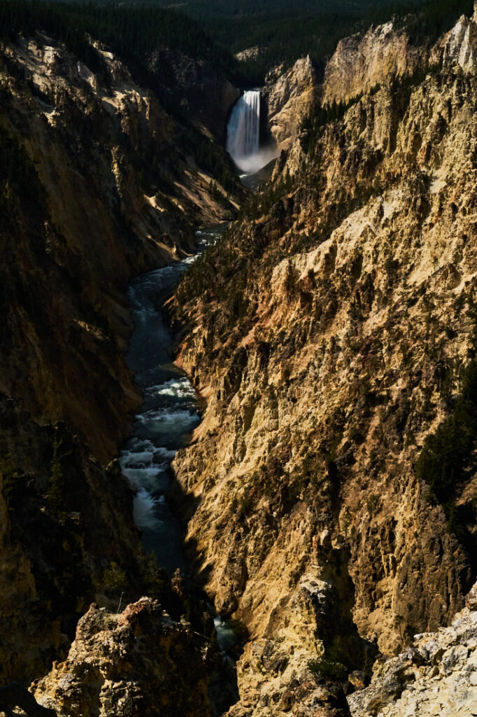 Lower Falls of the Yellowstone River in Grand Canyon of the Yellowstone