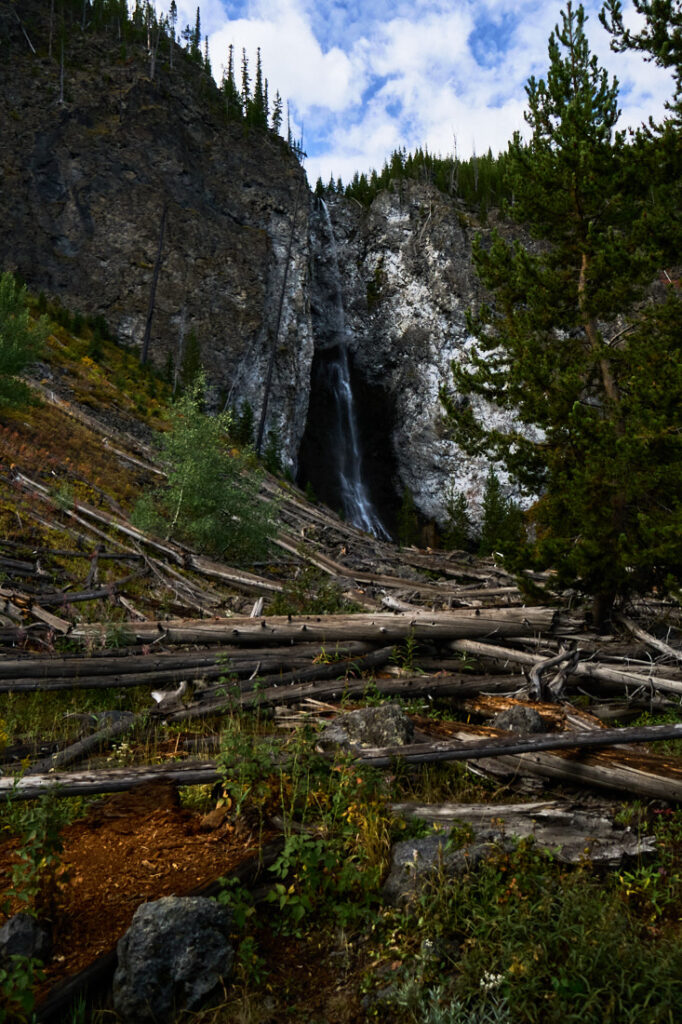 Logfall in front of Fairy Falls waterfall, Yellowstone National Park