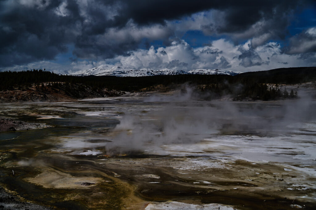 Norris Geyser Basin with fountains in the foreground, snowy mountains in background, Yellowstone National Park
