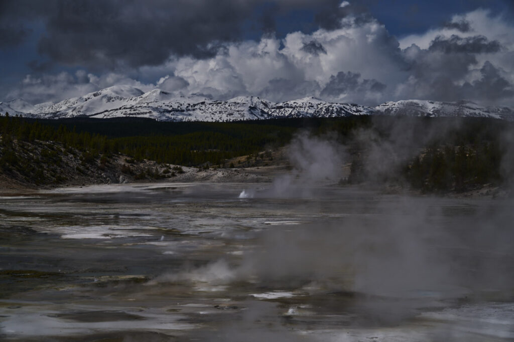 Norris Geyser Basin with fountains in the foreground, snowy mountains in background, Yellowstone National Park