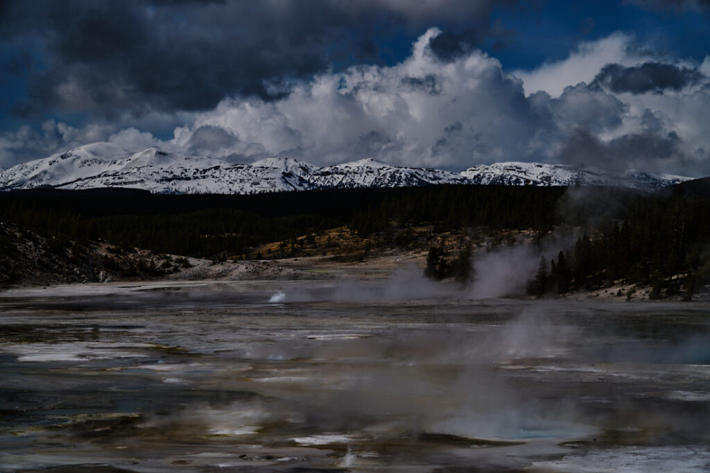 Norris Geyser Basin with fountains in the foreground, snowy mountains in background, Yellowstone National Park