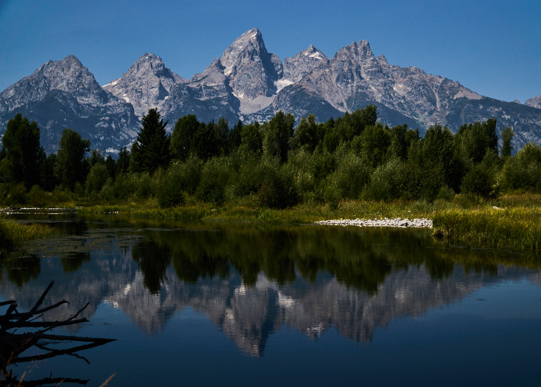 Grand Tetons reflected in river as seen from Schwabacher Landing, Grand Teton National Park