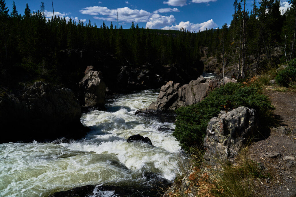 Firehole River in Yellowstone National Park