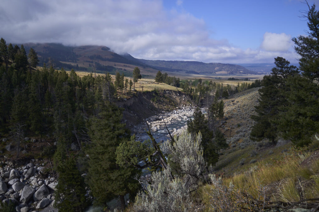 Lamar Valley, Yellowstone National Park