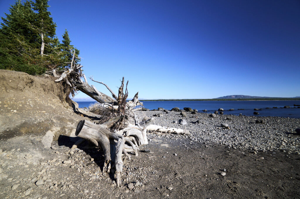 Pumice Point, Yellowstone National Park